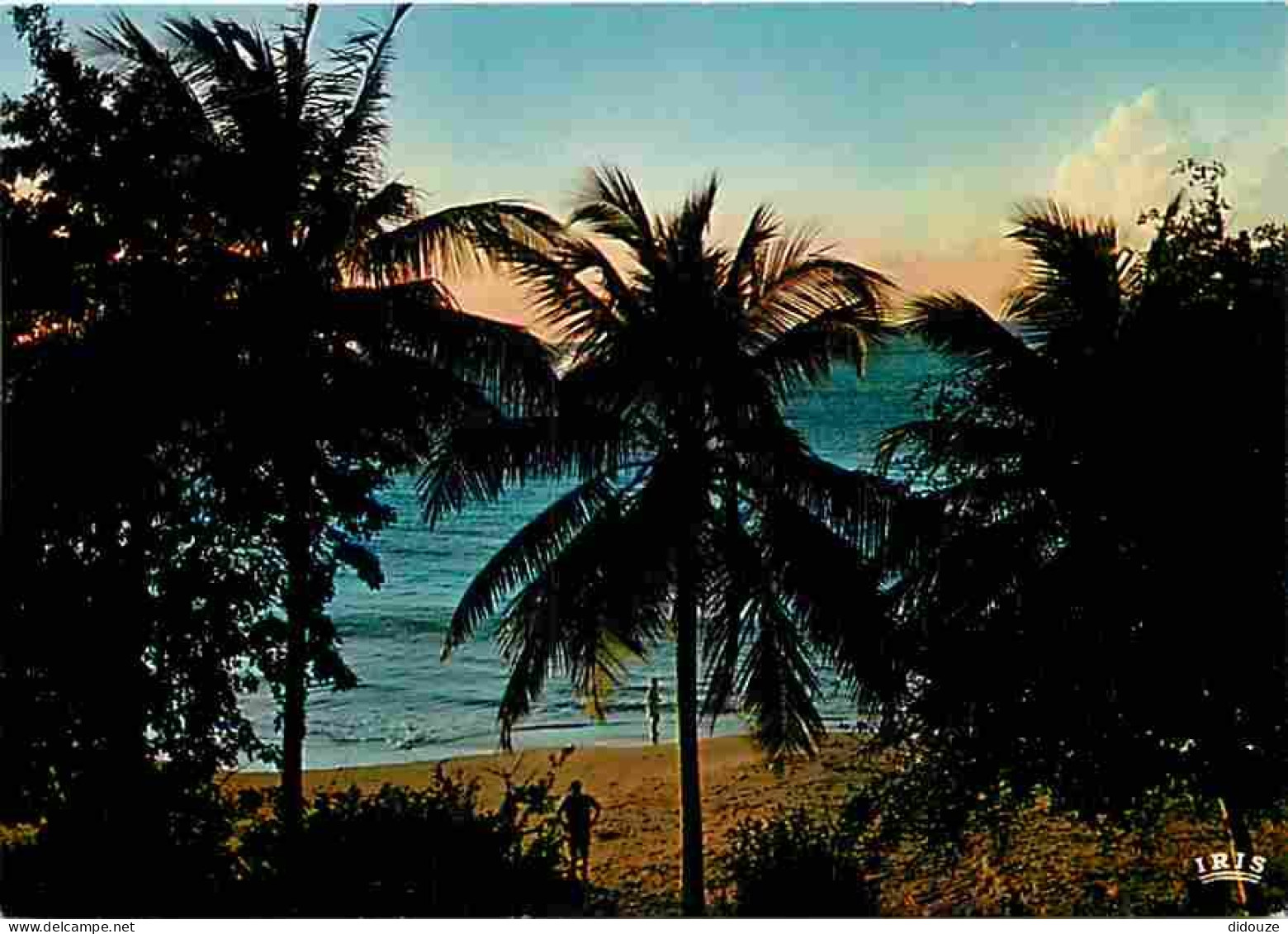 Antilles - Coucher De Soleil Sur La Mer Des Caraibes - CPM - Voir Scans Recto-Verso - Autres & Non Classés