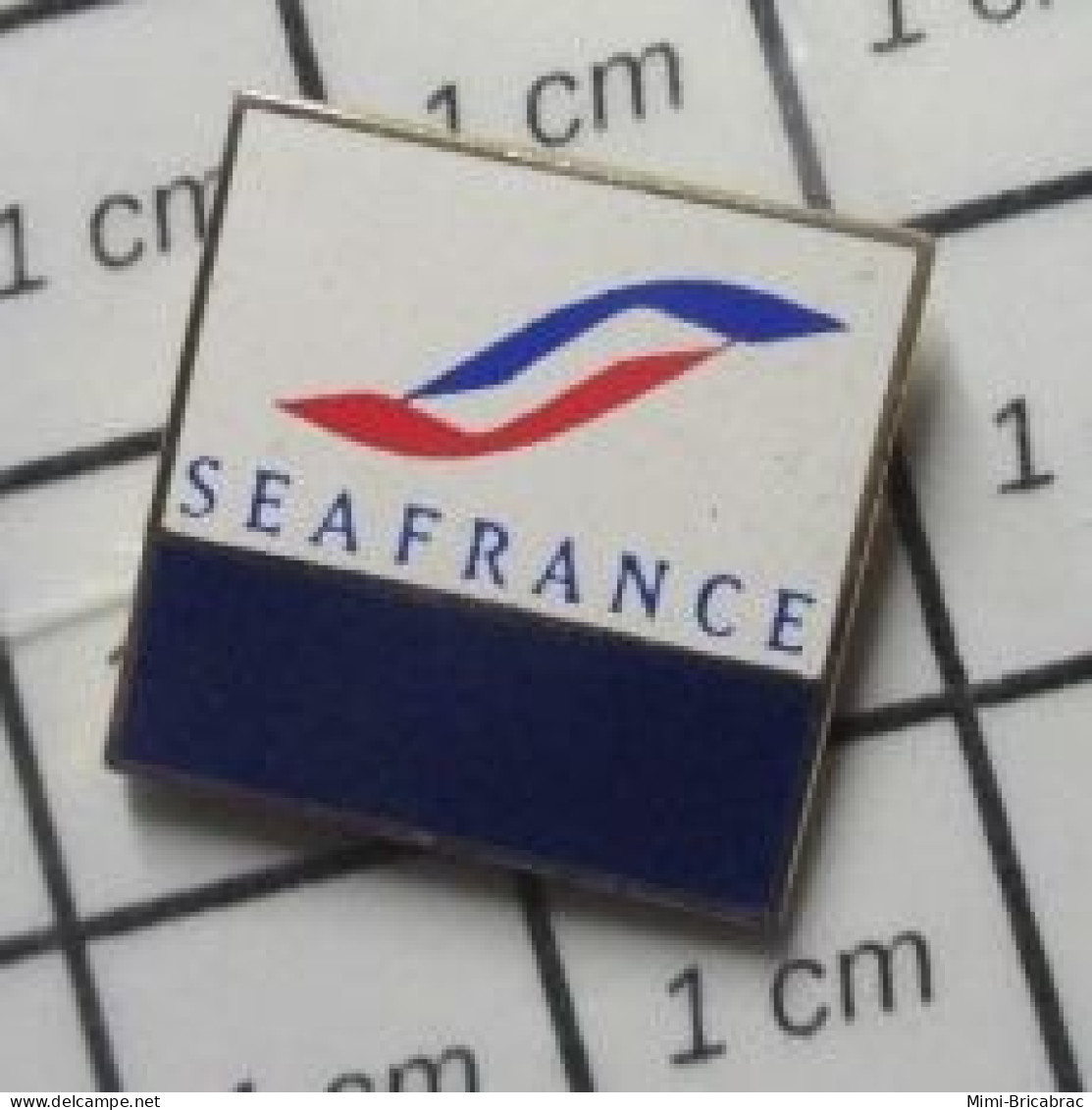 511B Pin's Pins / Beau Et Rare / MARQUES / SEAFRANCE Cause Le French S'il Te Please ! - Marques