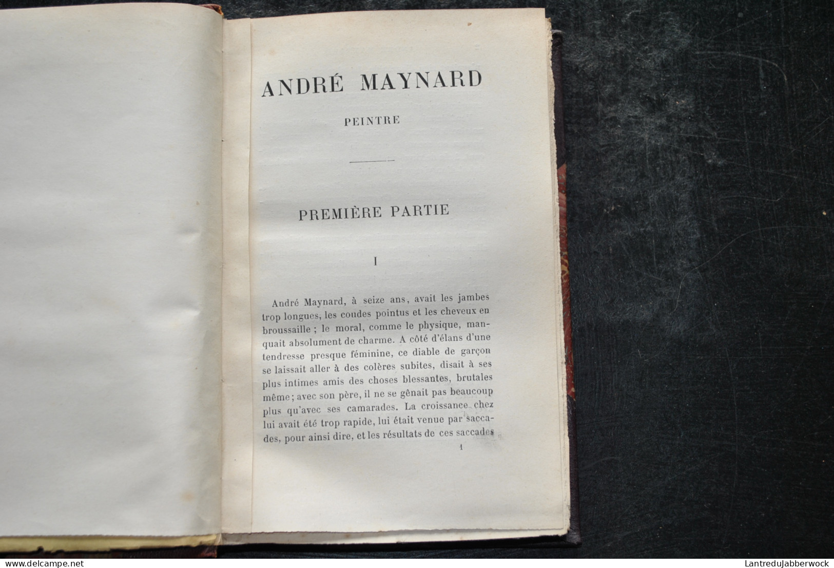 Jeanne MAIRET André MAYNARD Peintre  Paul OLLENDORFF 1887 - 2è édition Reliure Dos Et Coins Cuir - 1801-1900