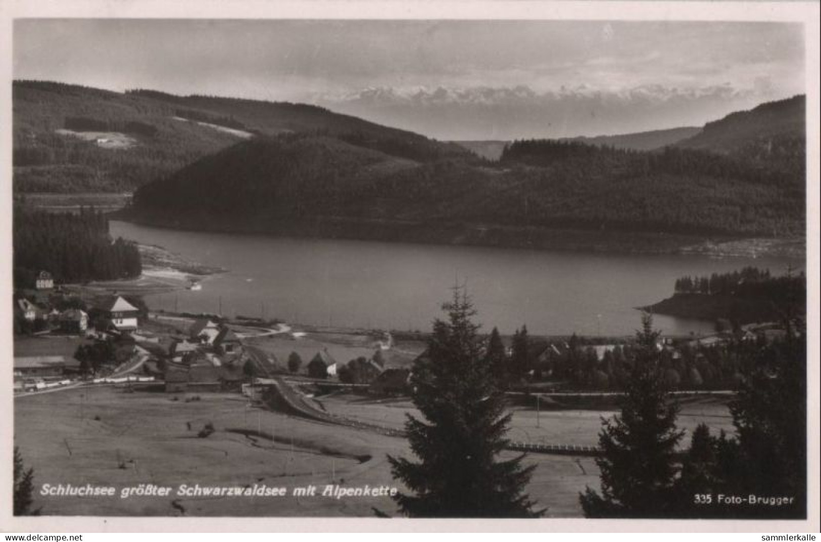 69299 - Schluchsee - Mit Alpenkette - 1953 - Schluchsee