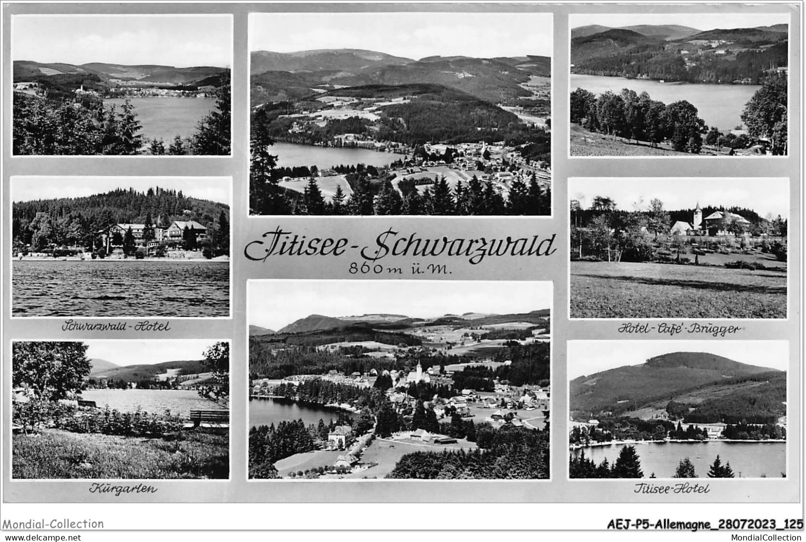 AEJP5-0409- ALLEMAGNE - TITISEE-SCHWARZWALD - Titisee-Neustadt