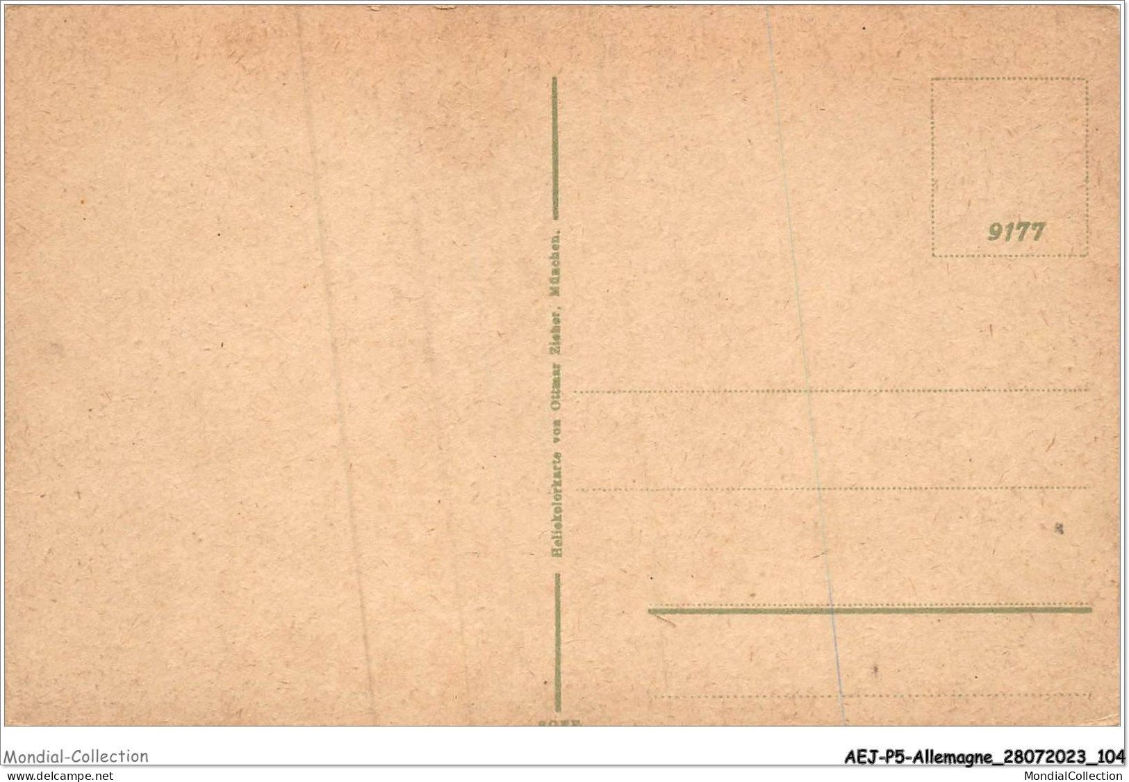 AEJP5-0398- ALLEMAGNE - DRACHENFELS VOM ROLANSECK - Drachenfels