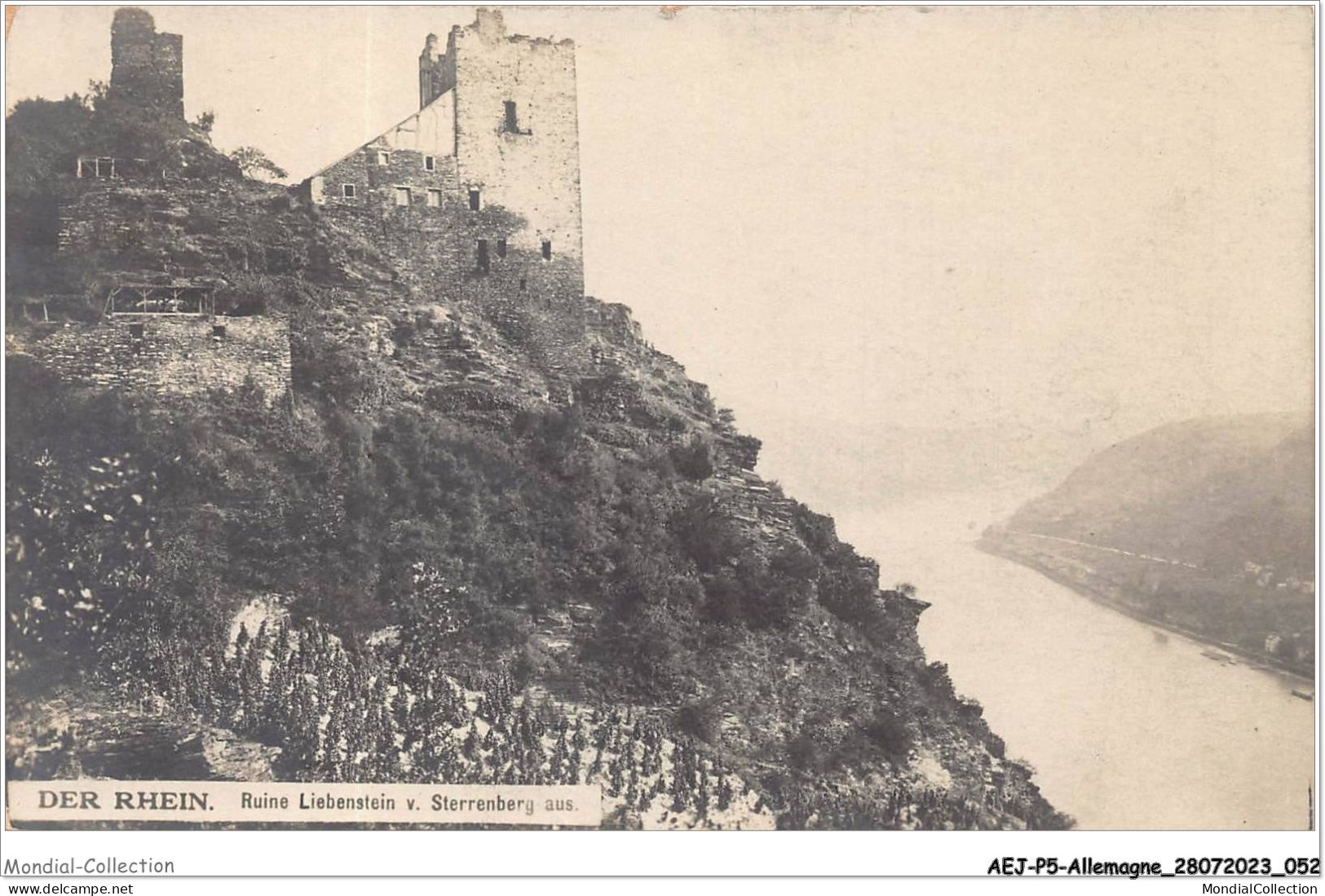 AEJP5-0372 - ALLEMAGNE - DER RHEIN - RUINE LIEBENSTEIN-V-STRRENBERG AUS - Rheine