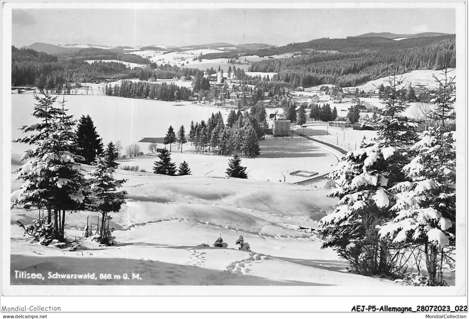 AEJP5-0357 - ALLEMAGNE - TITISEE - SCHWARZWALD - Titisee-Neustadt