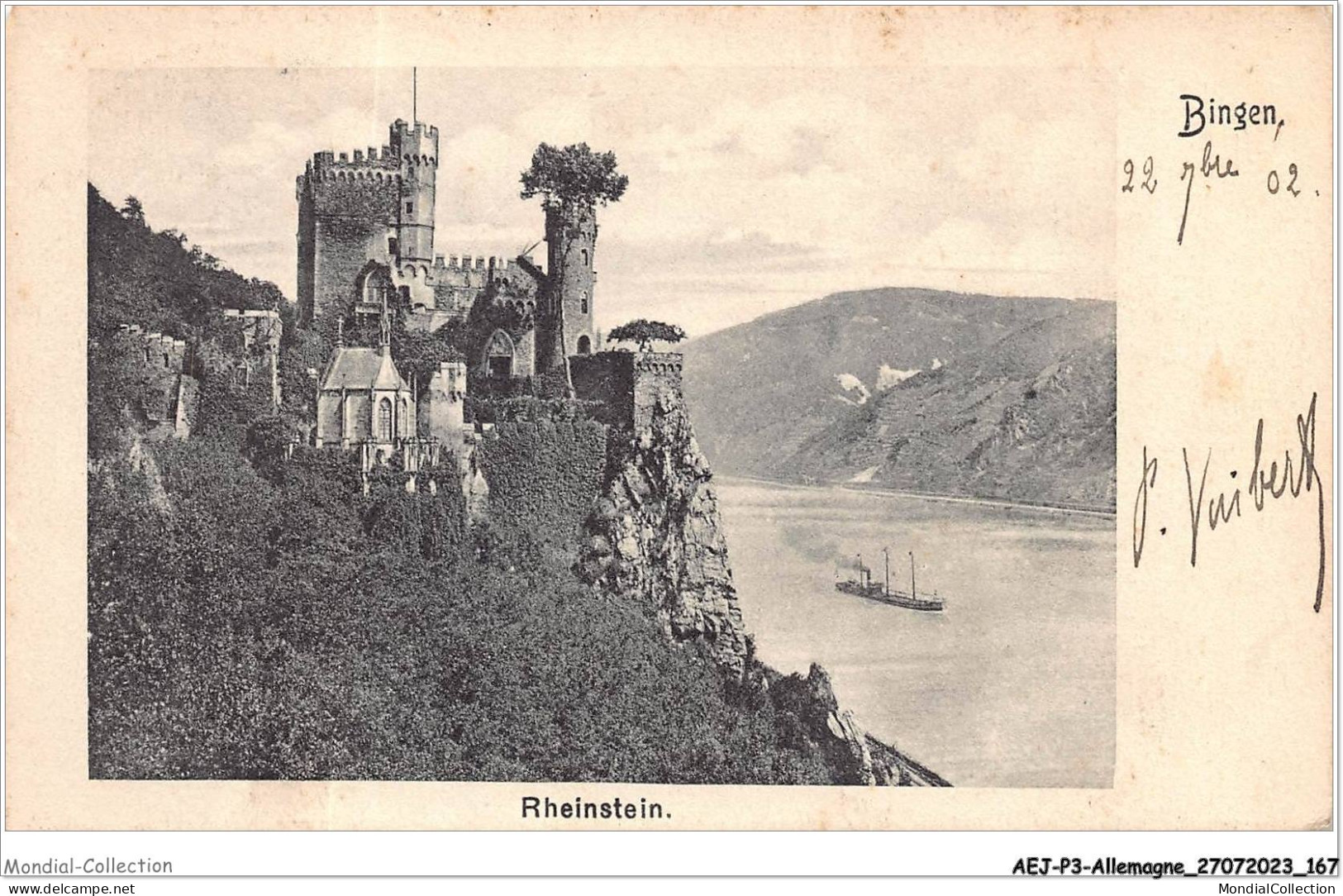 AEJP3-0260 - ALLEMAGNE - BINGEN - RHEINSTEIN - Bingen