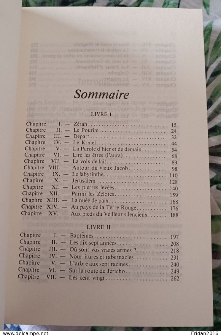 De Mémoire D'Essénien : L'autre Visage De Jésus (Tome 1) : Anne Et Daniel Meurois Givaudan : GRAND FORMAT - Esoterismo