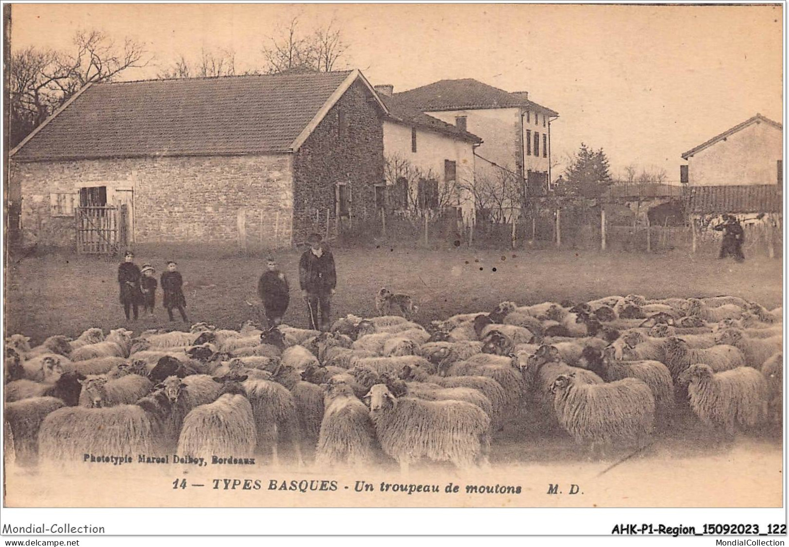 AHKP1-0062 - REGION - MIDI-PYRENEES - Types Basques - Un Troupeau De Moutons - Midi-Pyrénées