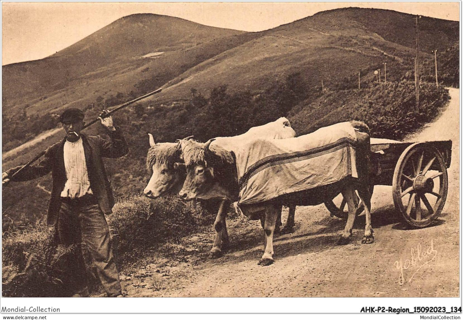 AHKP2-0137 - REGION - MIDI-PYRENEES - Pays Basque - Attelage Basque - Midi-Pyrénées