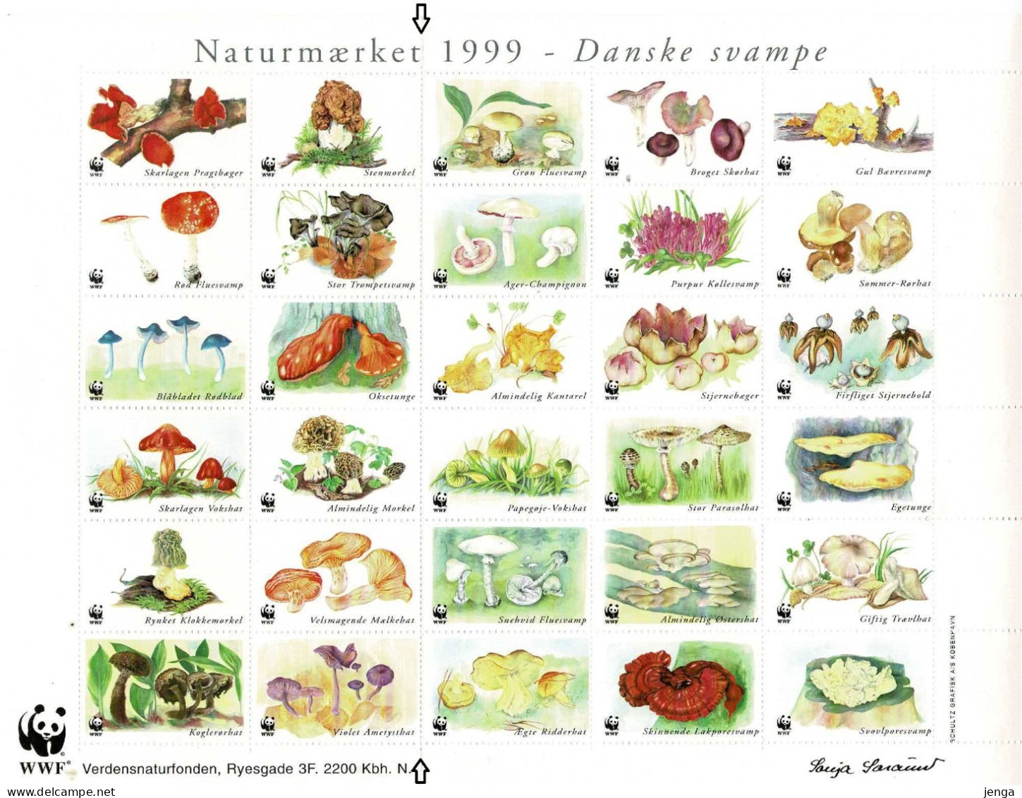 Denmark WWF 1999.  Sheet  With 30 Labels;  Danish Mushrooms; MNH(**), Folded. - Altri & Non Classificati