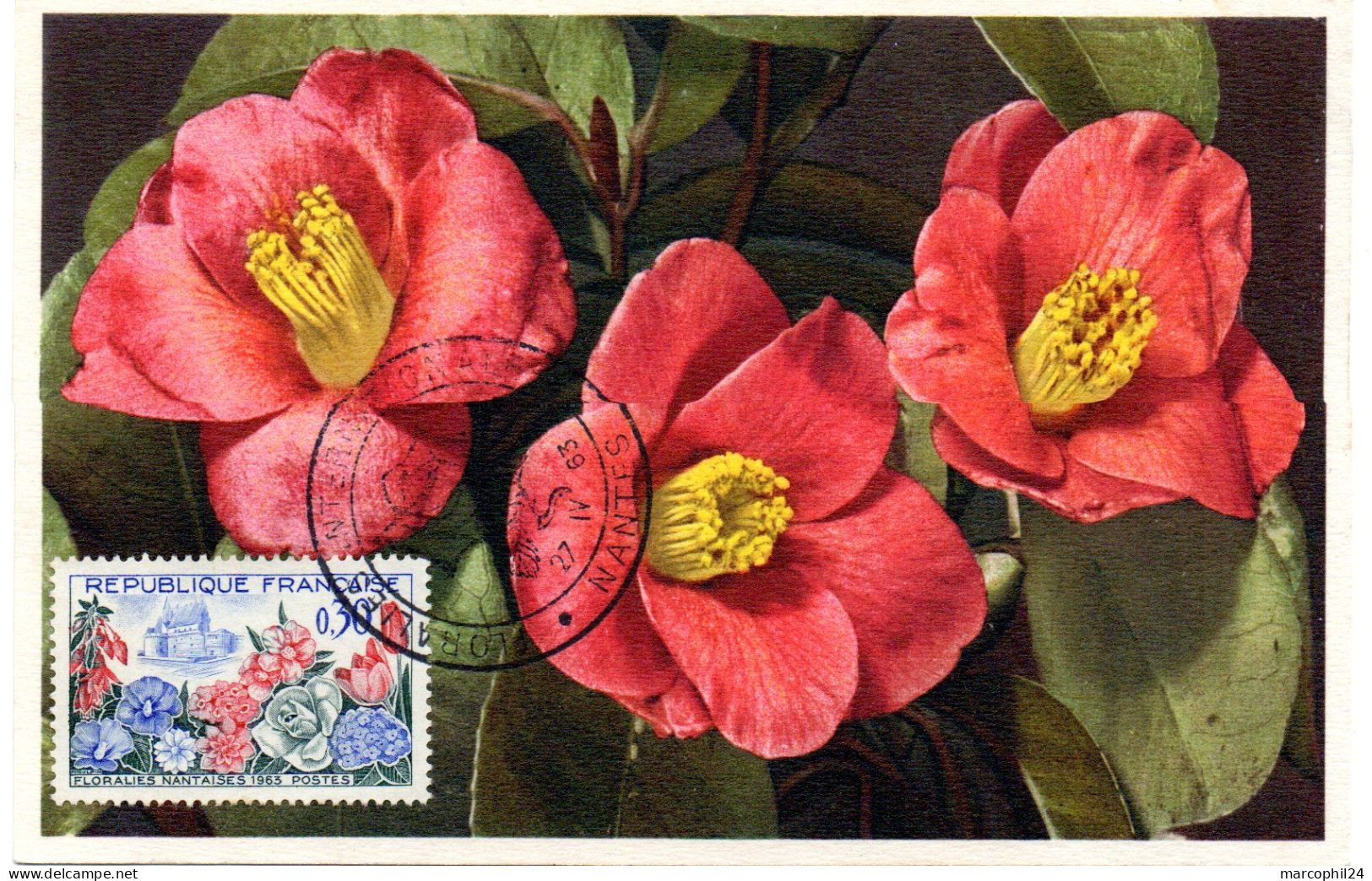FLEUR + ROSE = 44 NANTES 1963 = CARTE MAXIMUM + CACHET  Illustré 'FLORALIES INTERNATIONALES' Sur N° Yvt 1369 - Roses