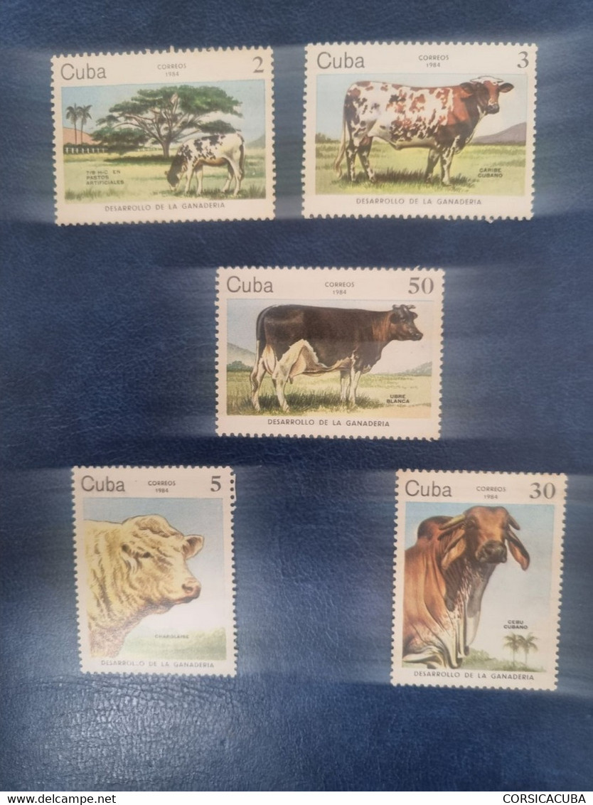 CUBA  NEUF  1984    DESARROLLO  DE  LA  GANADERIA  //  PARFAIT  ETAT  //  1er  CHOIX  // - Unused Stamps