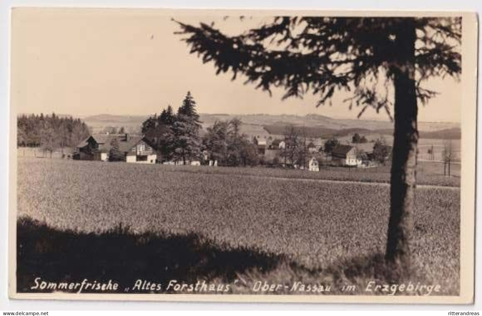 AK Nassau Altes Forsthaus Obernassau Ca 1940 ( Frauenstein ) (Al06) - Frauenstein (Erzgeb.)