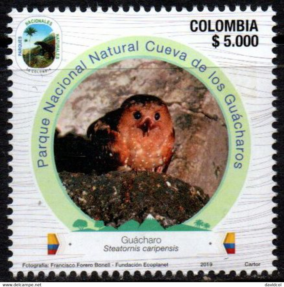 02G-KOLUMBIEN - 2019 -MNH – “GUÁCHARO” - BIRD (STEATORNIS CARIPENSIS) - NATURAL PARKS - Colombia