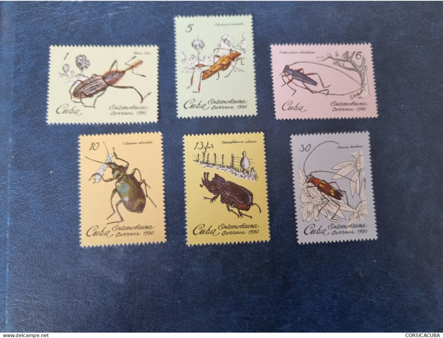 CUBA  NEUF   1980   ENTOMOFAUNA   //  PARFAIT  ETAT  //  1er  CHOIX  // Sans Gomme - Unused Stamps
