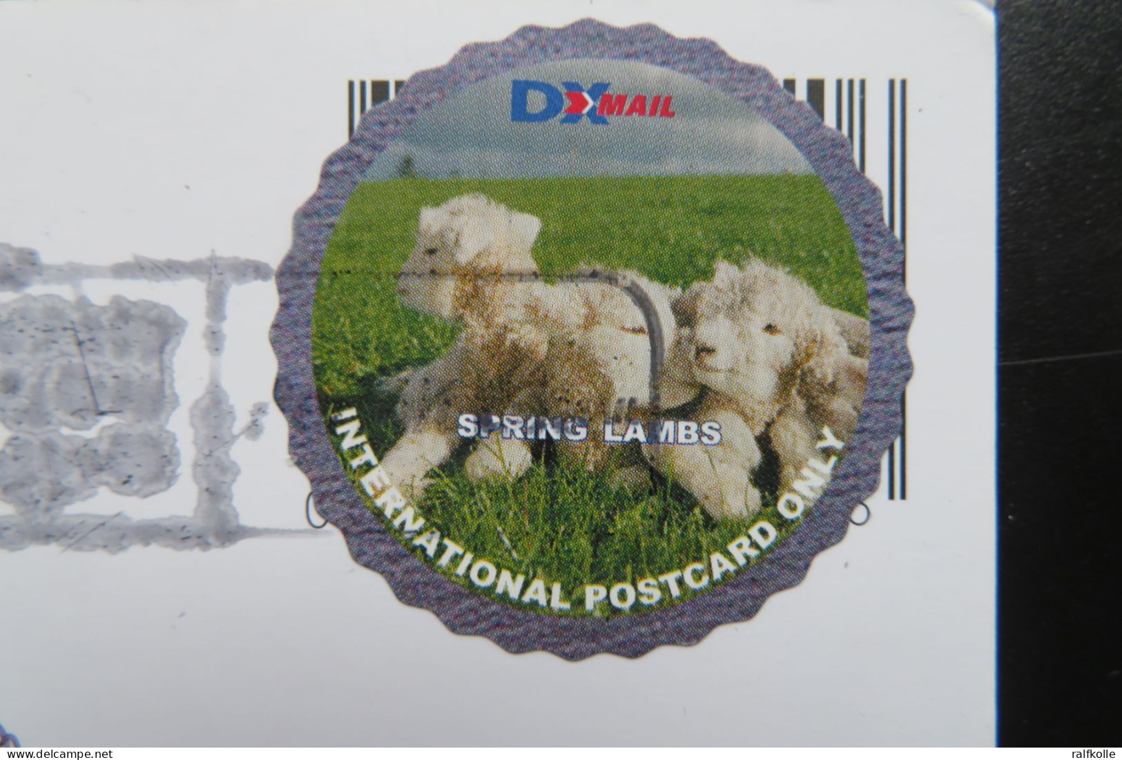 New Zealand Card With Sheep Stamp From DXMail - Boerderij