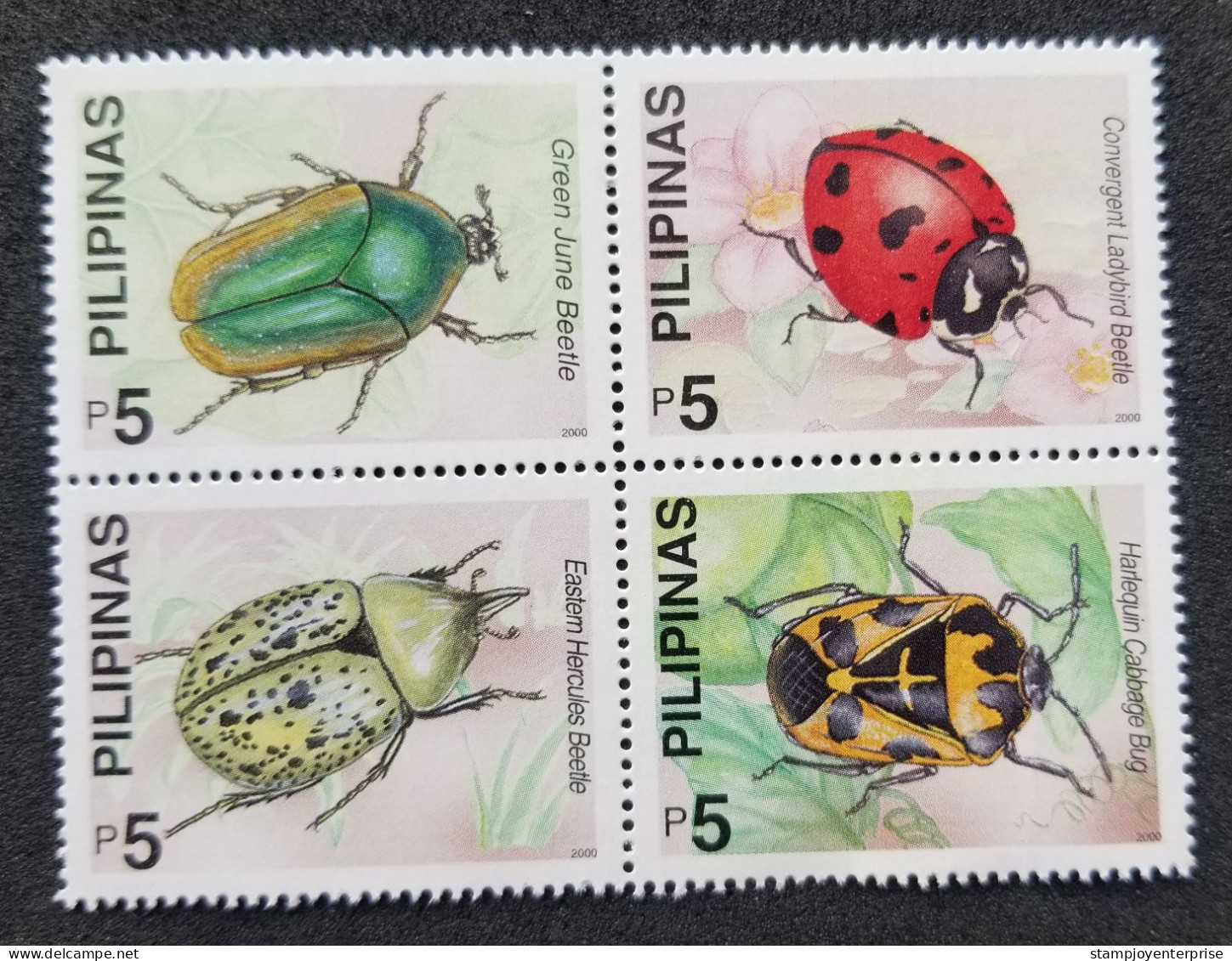 Philippines Insects 2000 Beetles Bug Ladybird Insect Beetle (stamp) MNH - Philippines