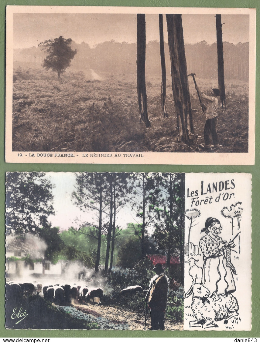 Bon lot de 90 CPA/CPSM FOLKLORIQUE SUD-OUEST - Coiffes, Costumes, scènes de vie et des champs, habitat, fantaisies,....