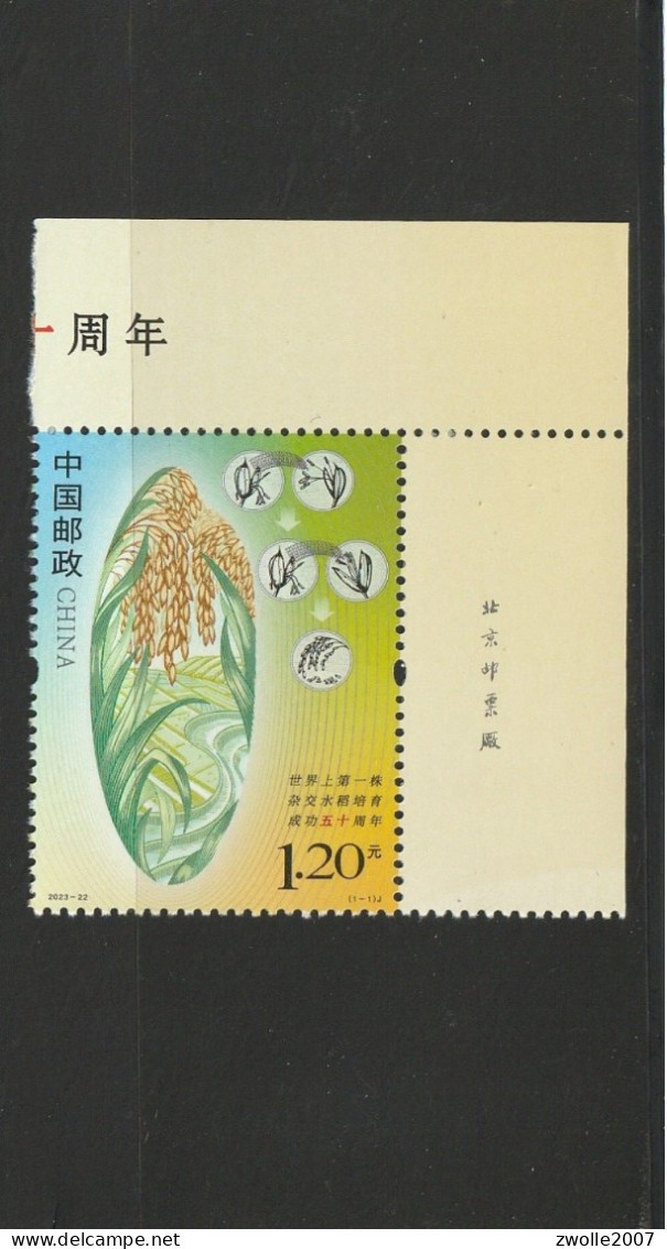 China 2023 - 22 Hybrit Rice*** MNH - Unused Stamps