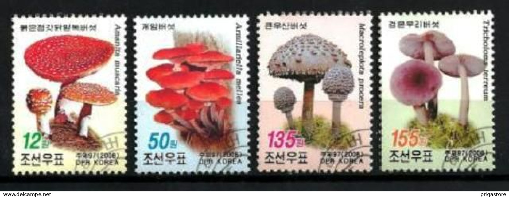 Corée Du Nord 2008 Champignons (9) Yvert N° 3711 à 3714 Oblitérés Used - Corée Du Nord