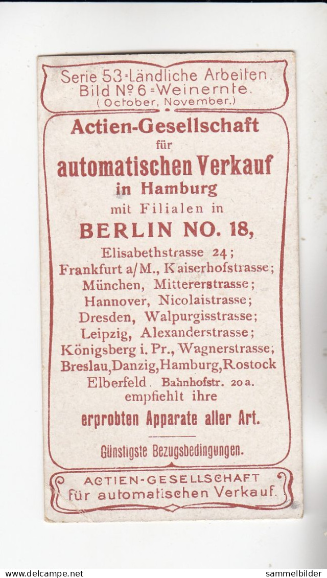 Actien Gesellschaft  Ländliche Arbeiten Weinernte  (  October , November  )   Serie  53 #6 Von 1900 - Stollwerck