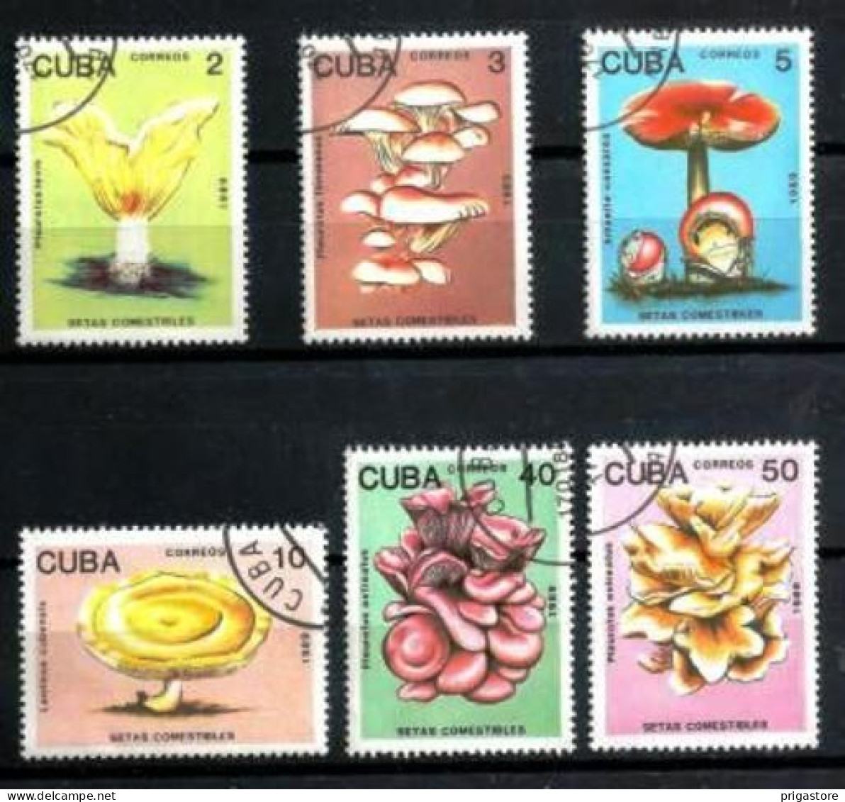 Champignons Cuba 1983 (12) Yvert N° 2907 à 2912 Oblitérés Used - Hongos