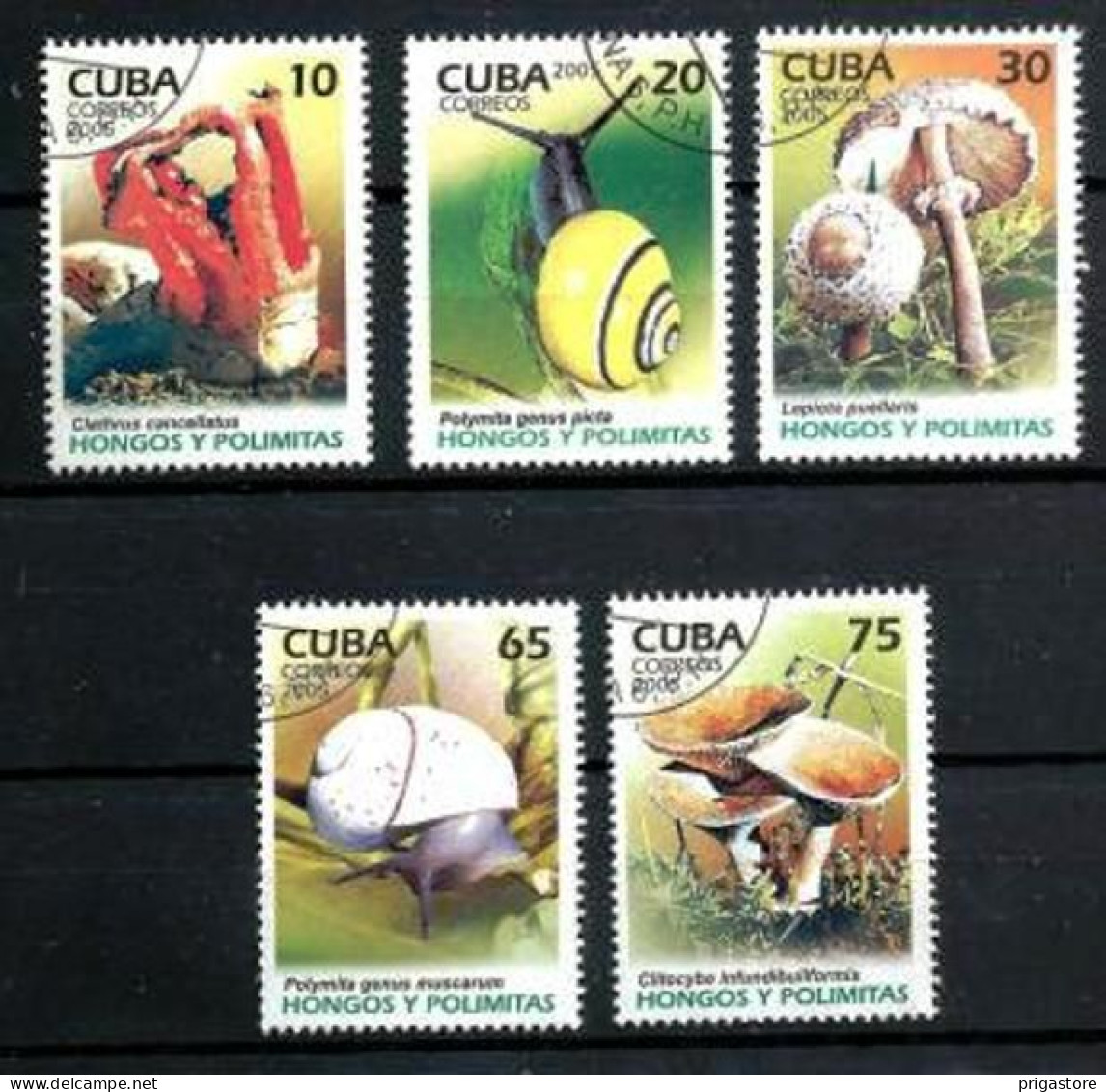 Champignons Cuba 2005 (13) Yvert N° 4311 à 4315 Oblitérés Used - Hongos