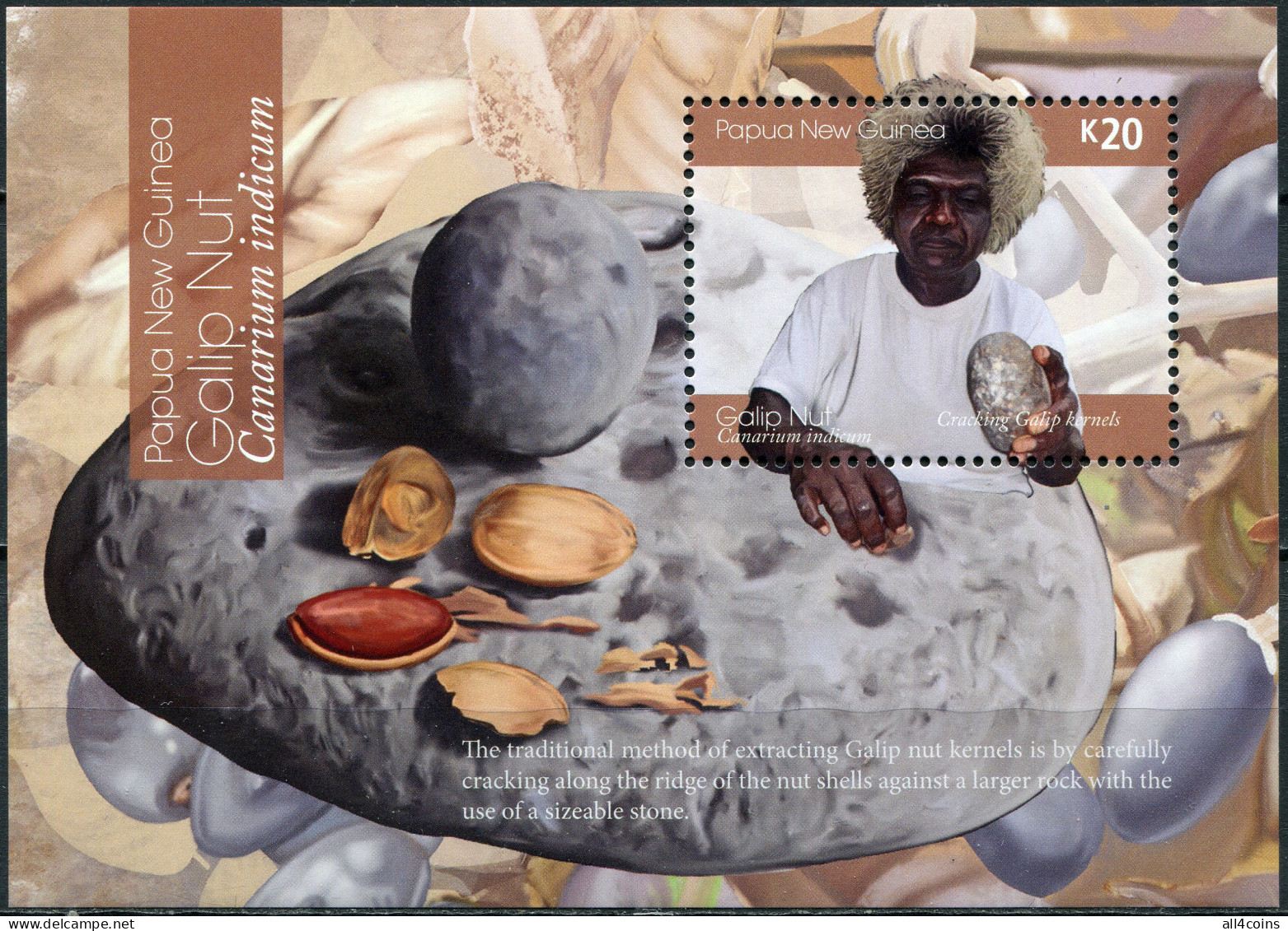 Papua New Guinea 2019. Cracking Galip Kernels (MNH OG) Souvenir Sheet - Papua New Guinea