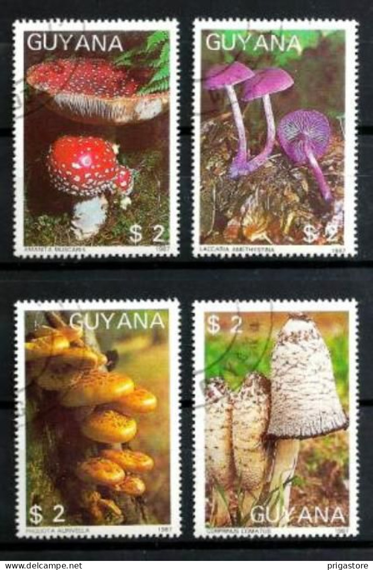 Guyana Guyane 1988 Champignons (14) Yvert N° 1769 ME à 1769 MH Oblitérés Used - Guyana (1966-...)