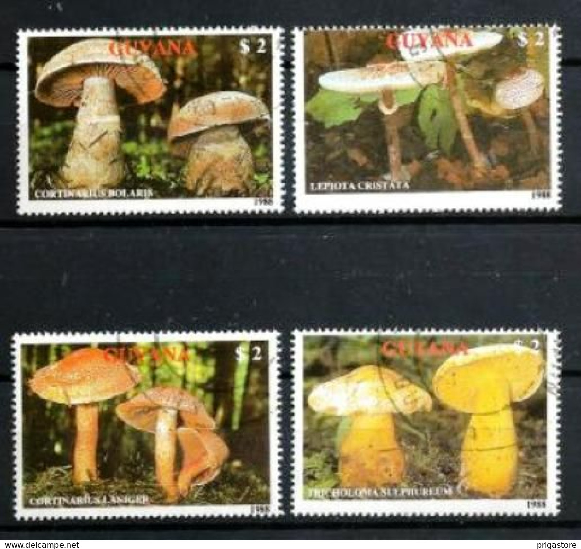 Champignons Guyana Guyane 1989 (16) Yvert N° 2077 à 2080 Oblitérés Used - Hongos