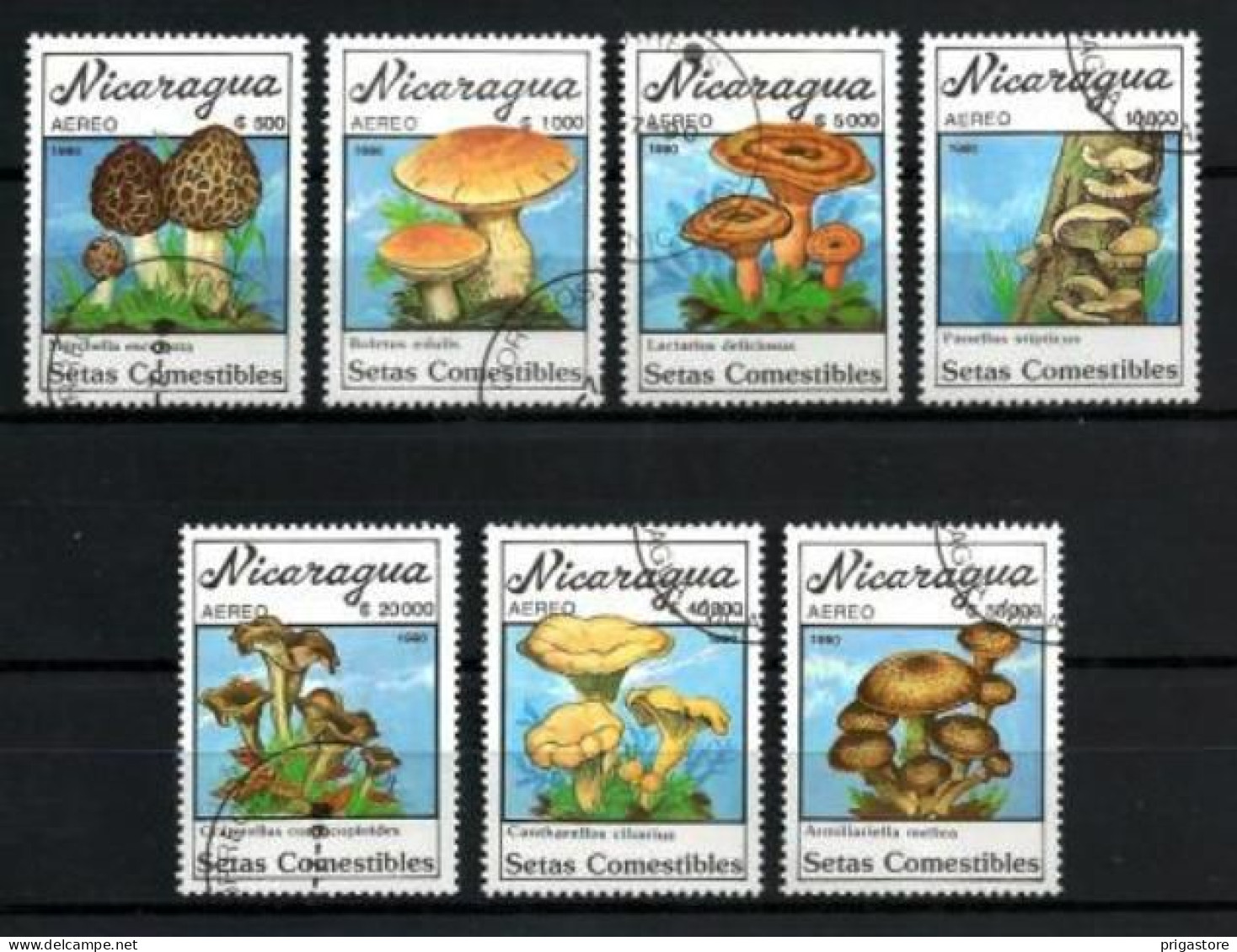 Champignons Nicaragua 1990 (18) Yvert N° PA 1314 à 1320 Oblitérés Used - Champignons