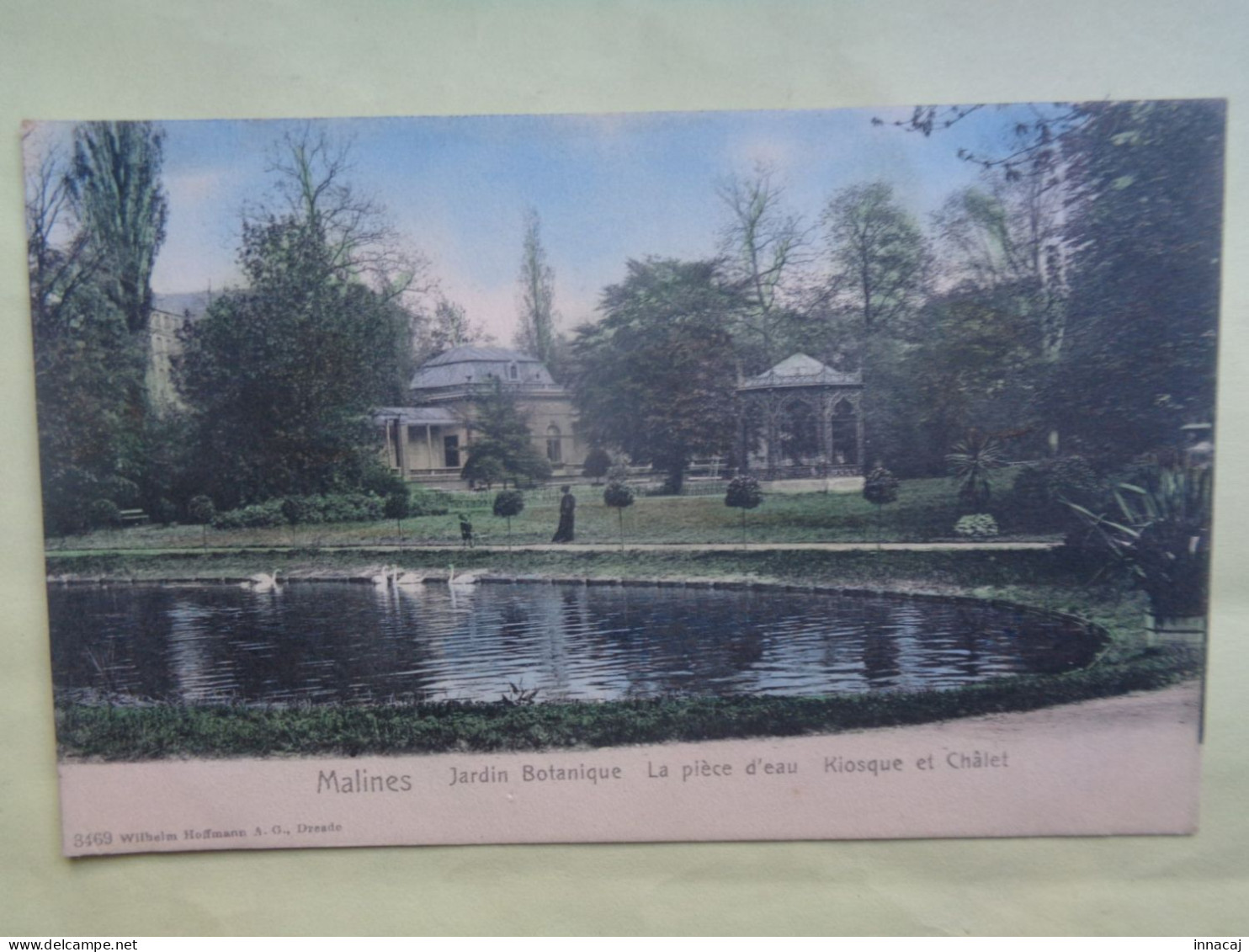 102-20-138         MALINES    Jardin Botanique - La Pièce D'eau - Kiosque Et Châlet    ( Colorisée ) - Malines