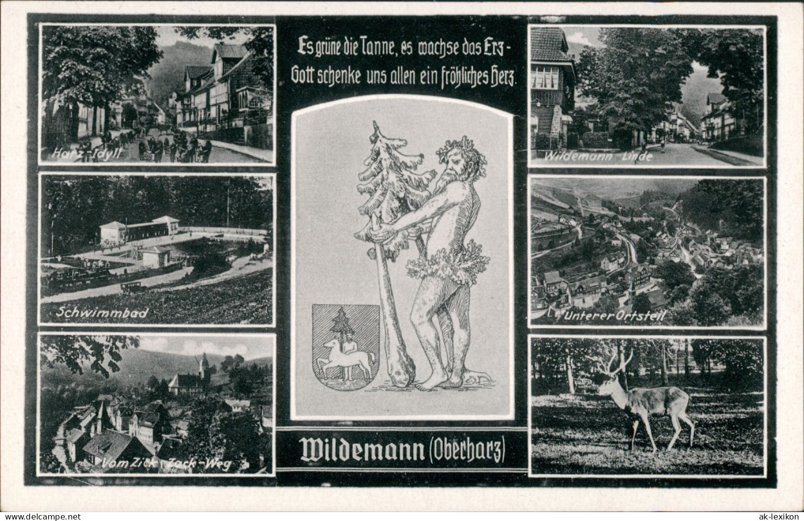 Wildemann (Innerstetal) Umlandansichten Mit Schwimmbad, Linde, Harz-I  1940 - Wildemann