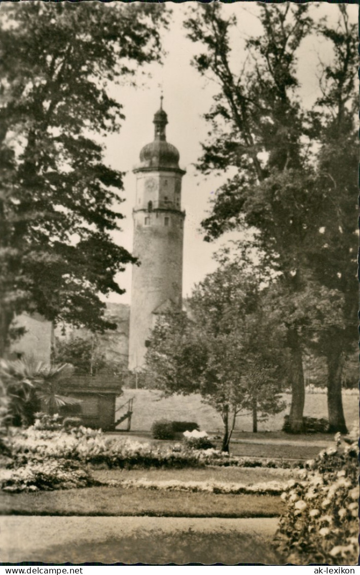 Arnstadt Stadtpark, Park, Partie Am Neideckturm DDR Postkarte 1957 - Arnstadt