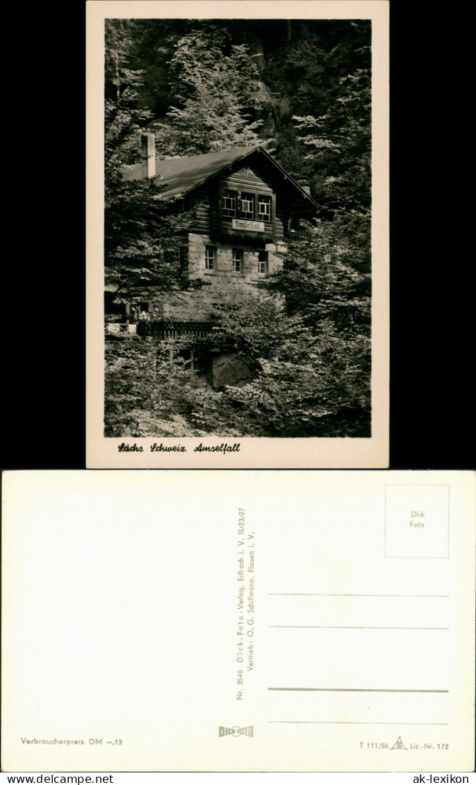 .Sachsen Sächsische Schweiz - Allgemein Amselfall (Elbsandsteingebirge) 1956 - Rathen