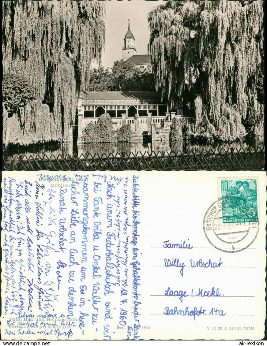 Bischofswerda Mühlteich Partie Blick Zur Kirche DDR Postkarte 1858/1959 - Bischofswerda
