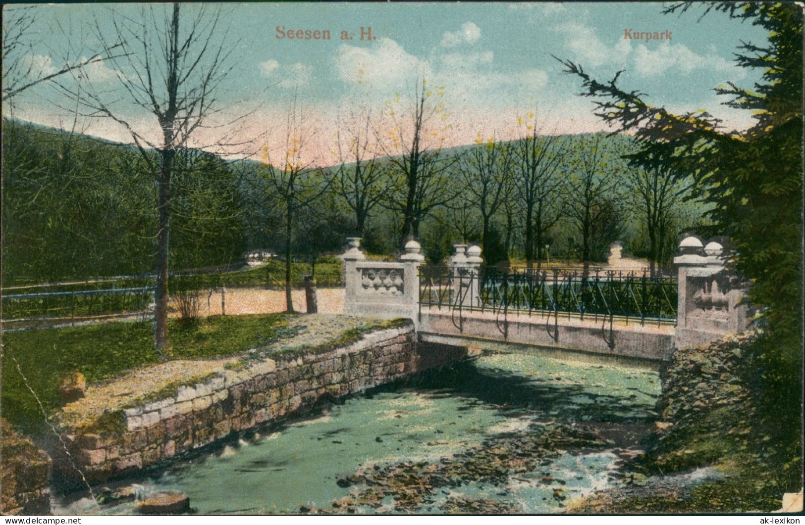 Ansichtskarte Seesen Kurpark - Brücke 1918 - Seesen