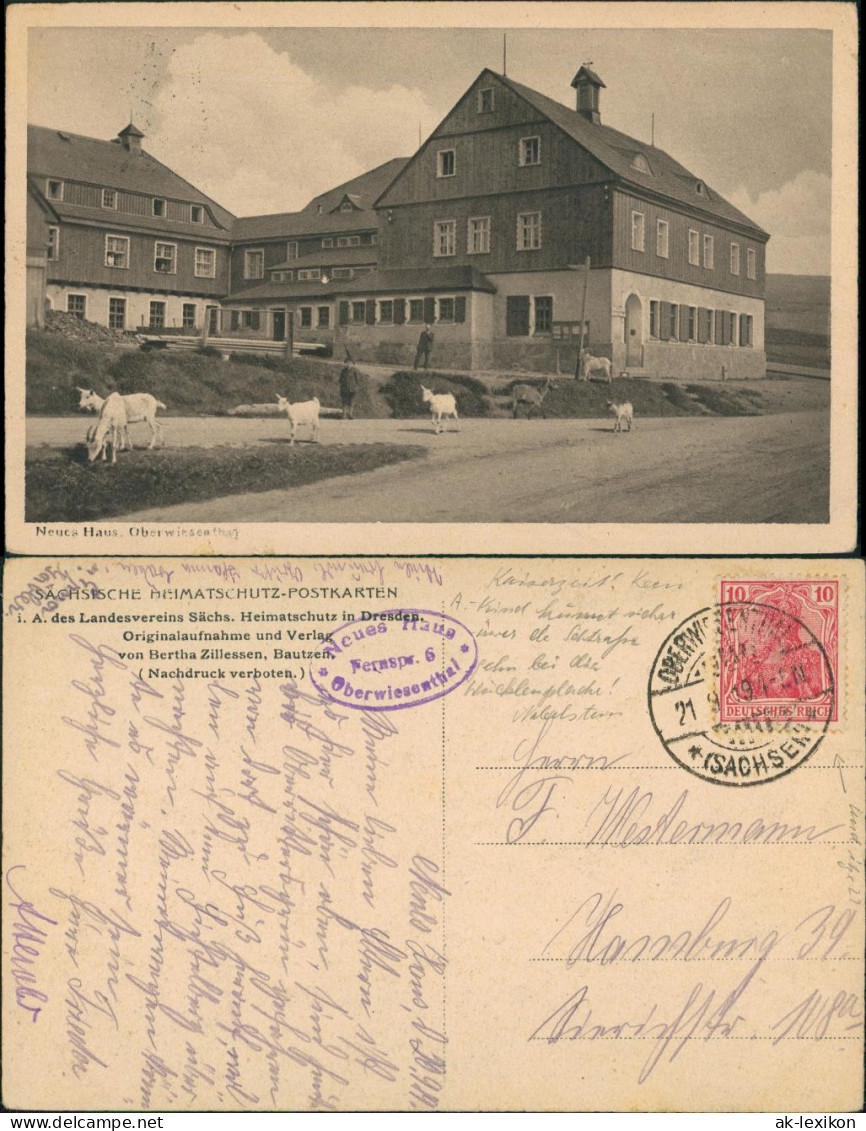 Ansichtskarte Oberwiesenthal Ziegen Vor Fremdenhof Neues Haus 1919 - Oberwiesenthal