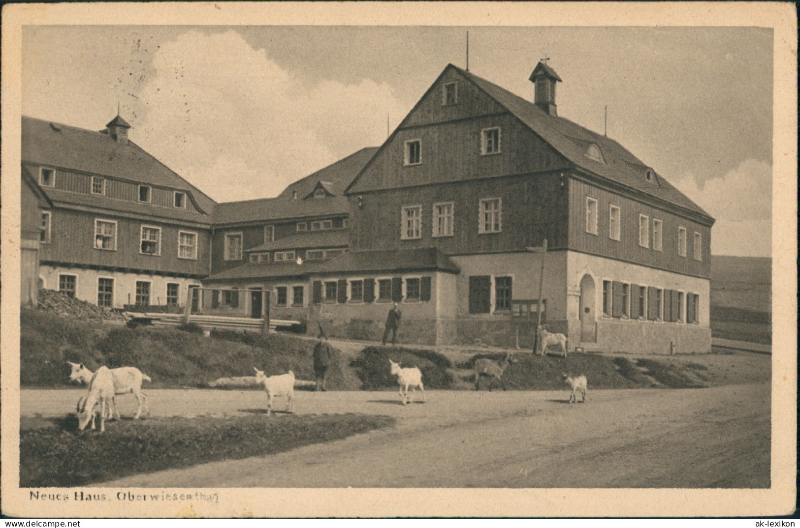 Ansichtskarte Oberwiesenthal Ziegen Vor Fremdenhof Neues Haus 1919 - Oberwiesenthal