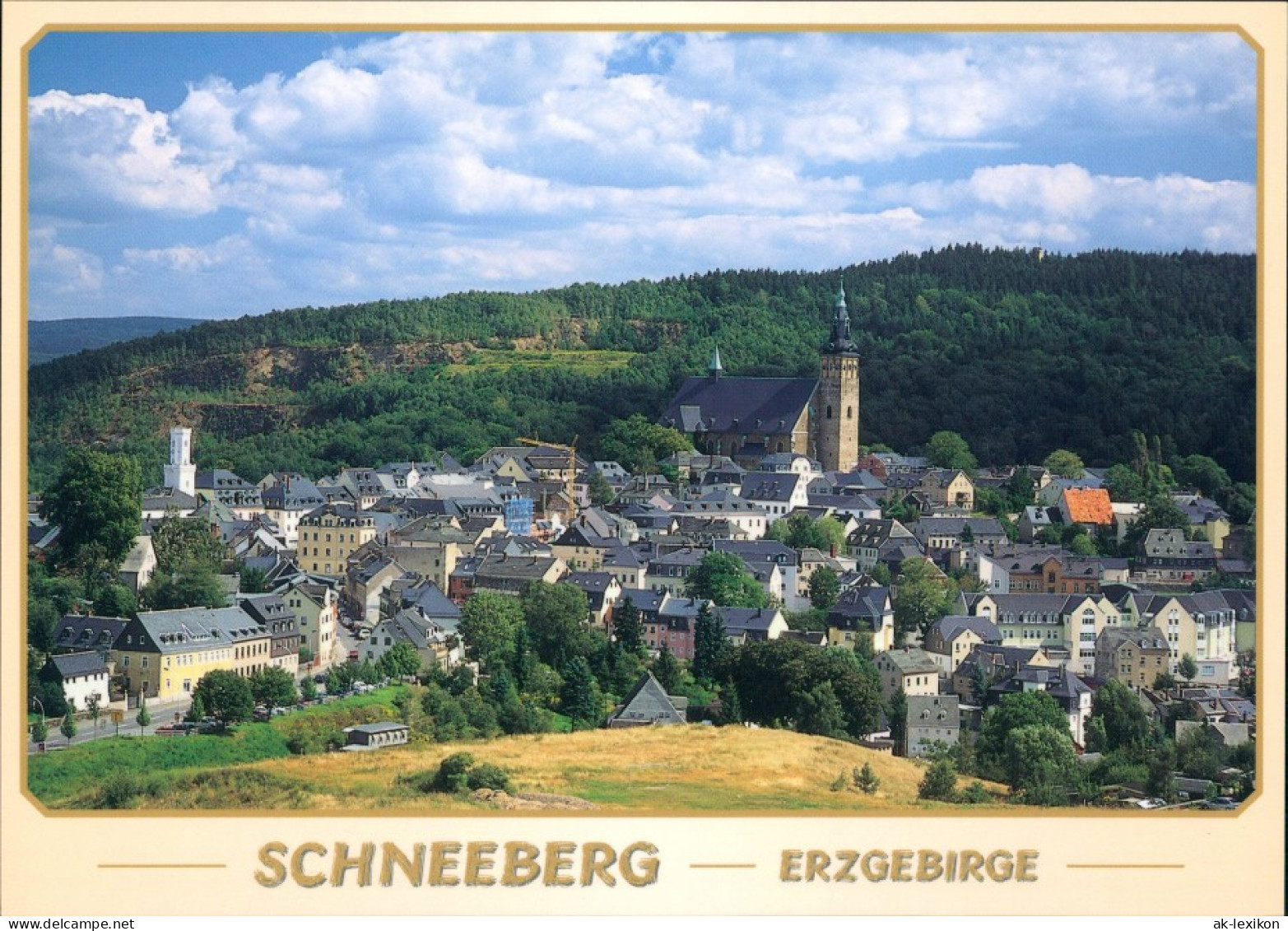 Schneeberg (Erzgebirge) Panorama-Ansicht Mit Kirche U. Gleesberg 2000 - Schneeberg