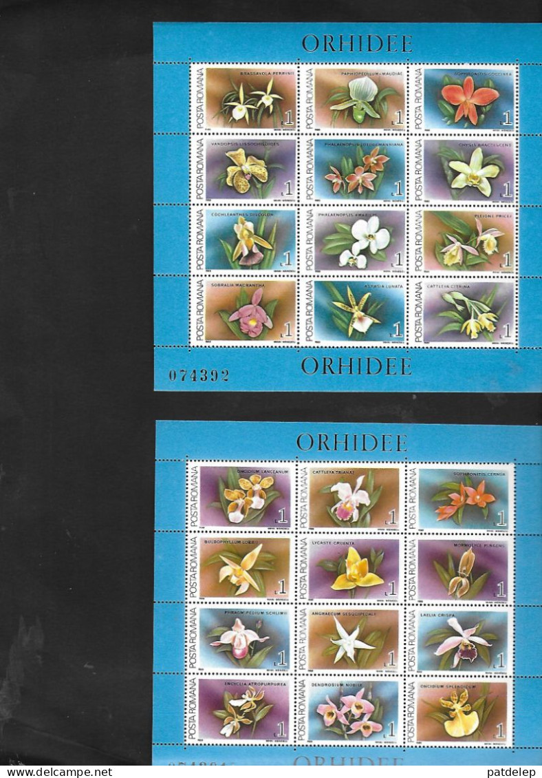 Roumanie Orchidees 1988 NSC - Orchideeën