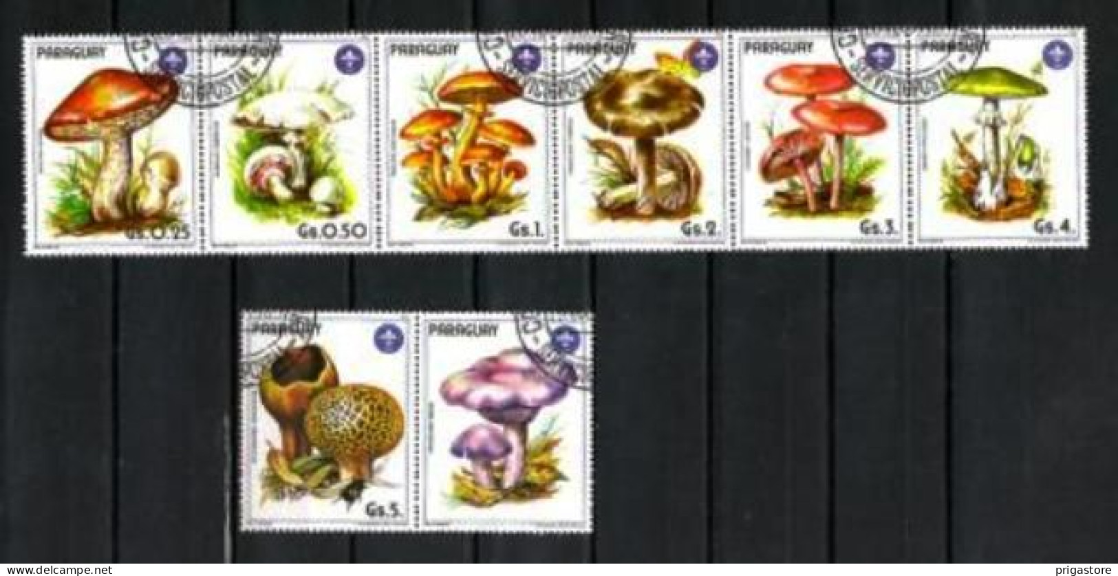 Champignons Paraguay 1985 (20) Yvert N° 2144 à 2149 Oblitérés Used - Paddestoelen