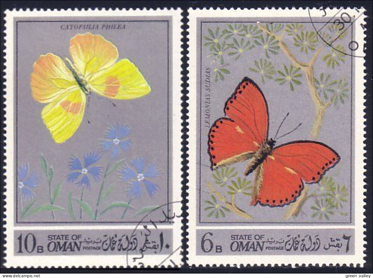 714 Oman Butterflies Papillons Schmetterlinge Farfalas Mariposas (OMA-8) - Vlinders