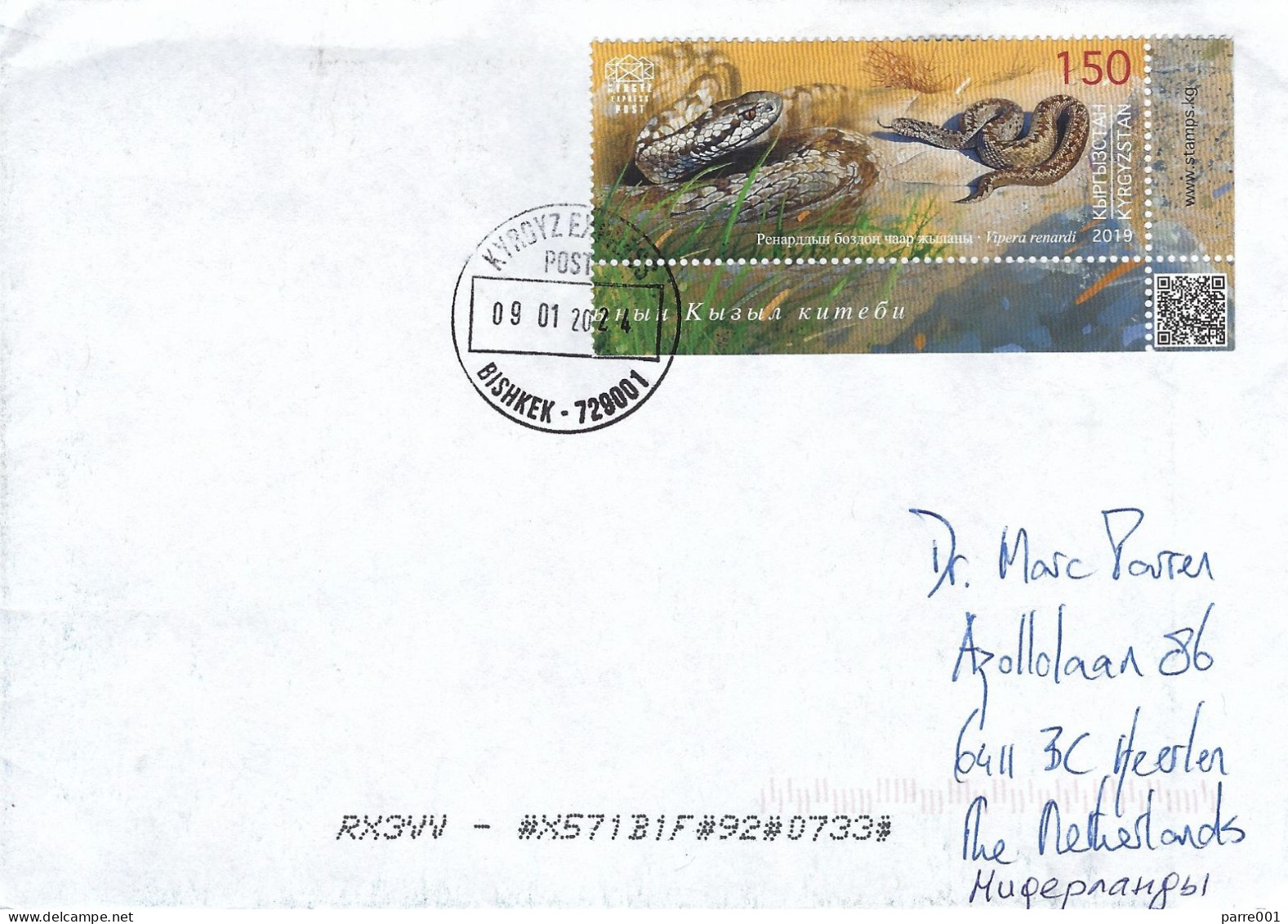 Kyrgyzstan 2024 Bishkek Eastern Steppe Viper Vipera Renardi Cover - Snakes