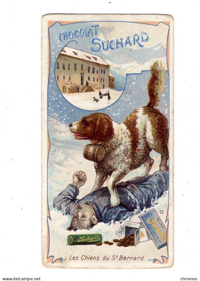 Chromo Chocolat Suchard, 144 / 12, Serie: Animaux Célèbres, Chien St. Bernhard - Suchard