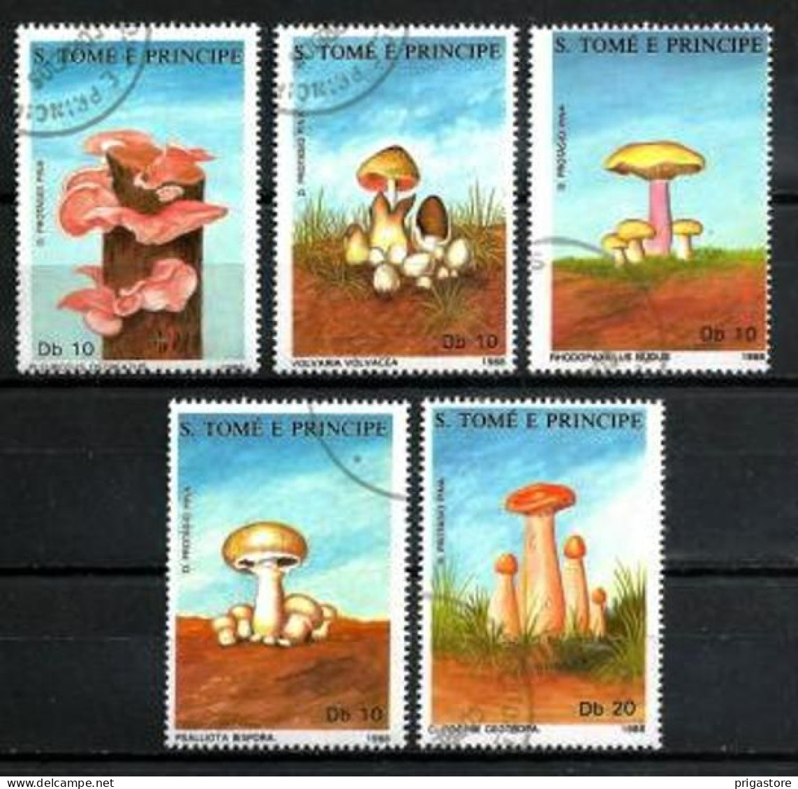 Champignons Saint Thomas Et Prince 1988 (24) Yvert N° 899 à 903 Oblitérés Used - Champignons