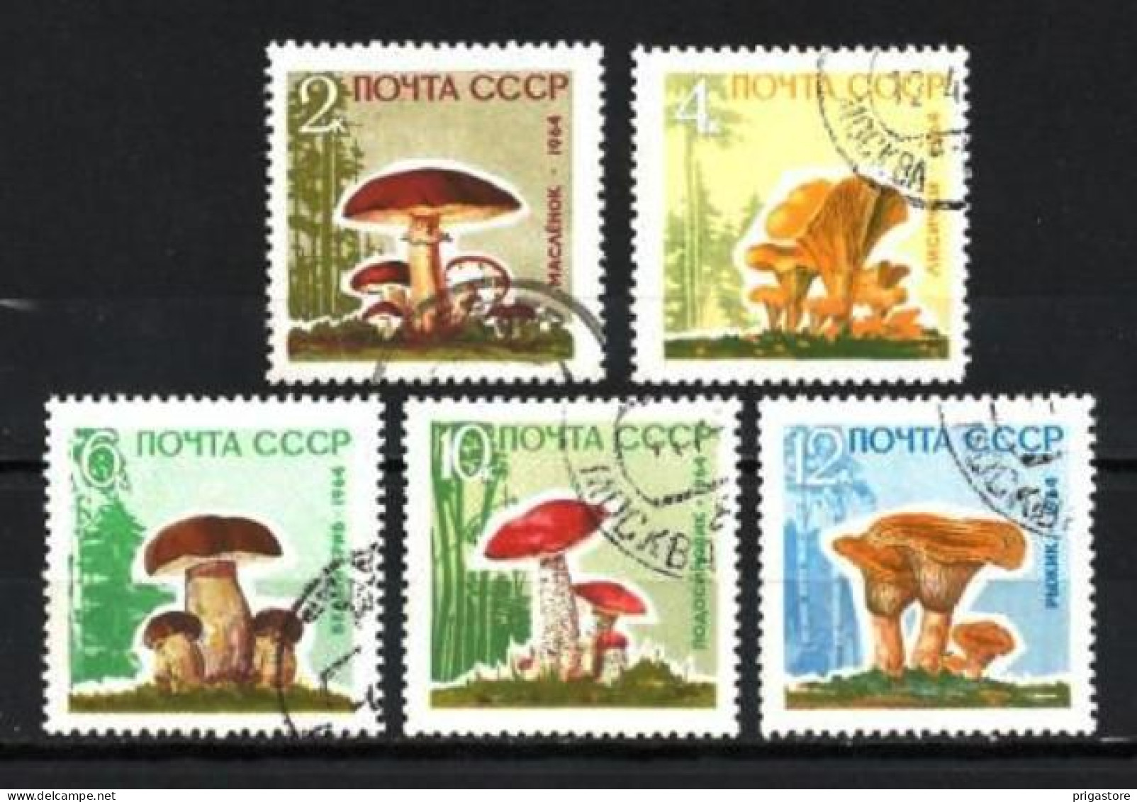 Russie URSS 1964 Champignons (26) Yvert N° 2880 à 2884 Oblitérés Used - Used Stamps