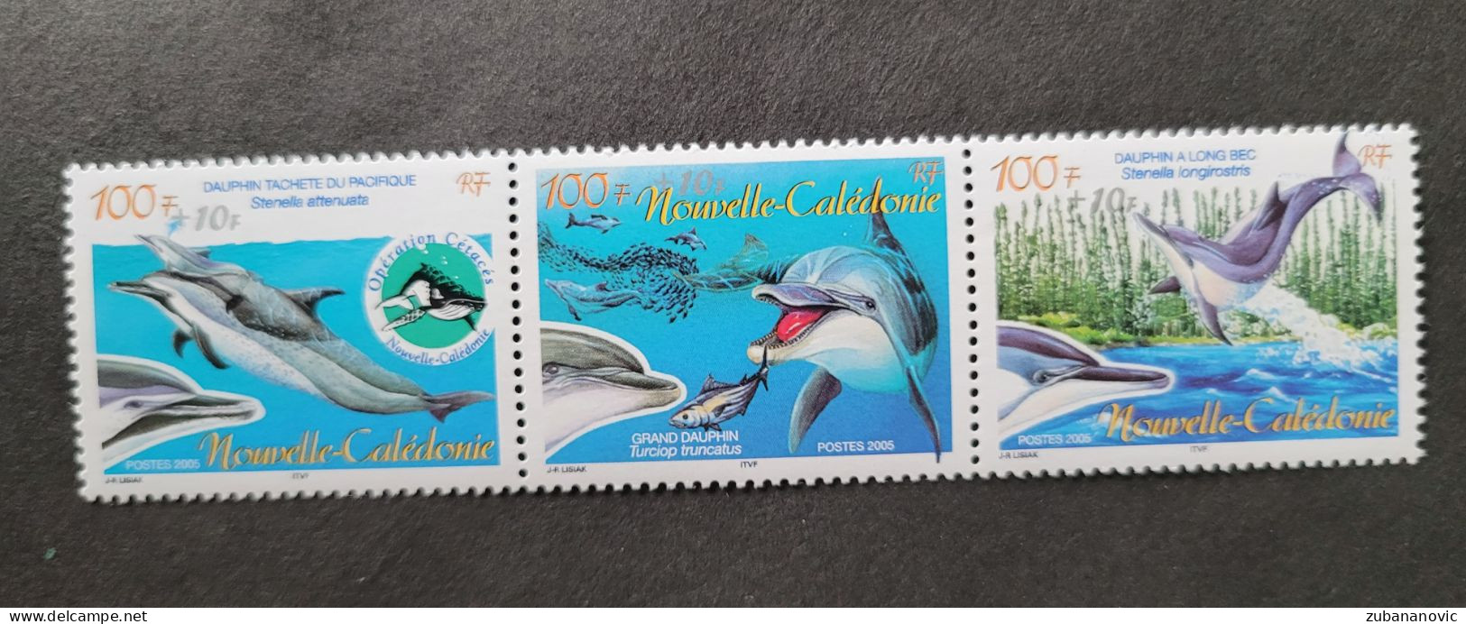 Nouvelle Caledonie 2005 Dolphins - Delfine