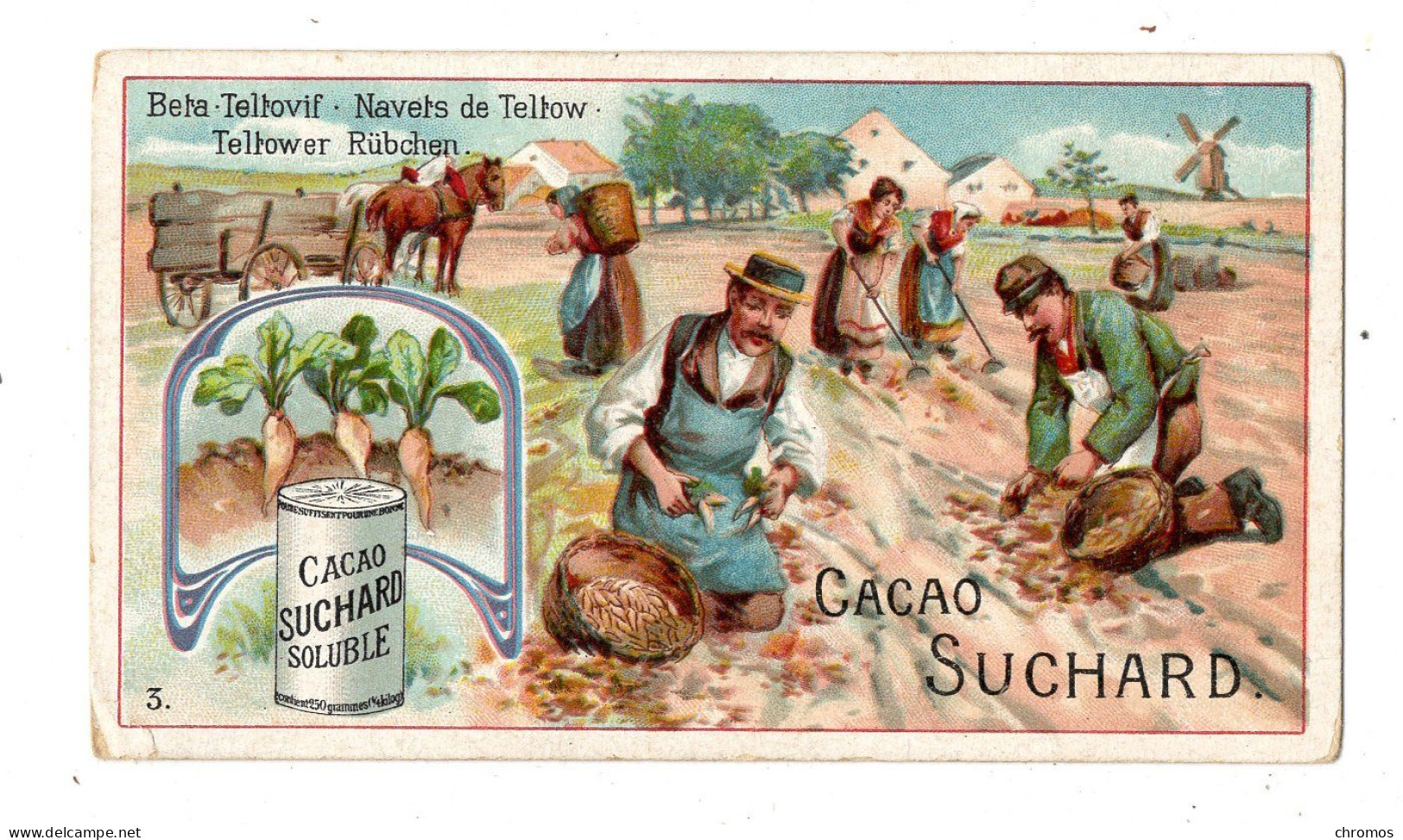 Chromo Chocolat Suchard, 191 / 5, Serie:légumes, Navets De Tellow - Suchard