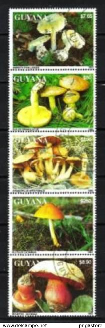 Champignons Guyana Guyane 1993 (28) Yvert N° Non Répertorié Oblitérés Used - Paddestoelen
