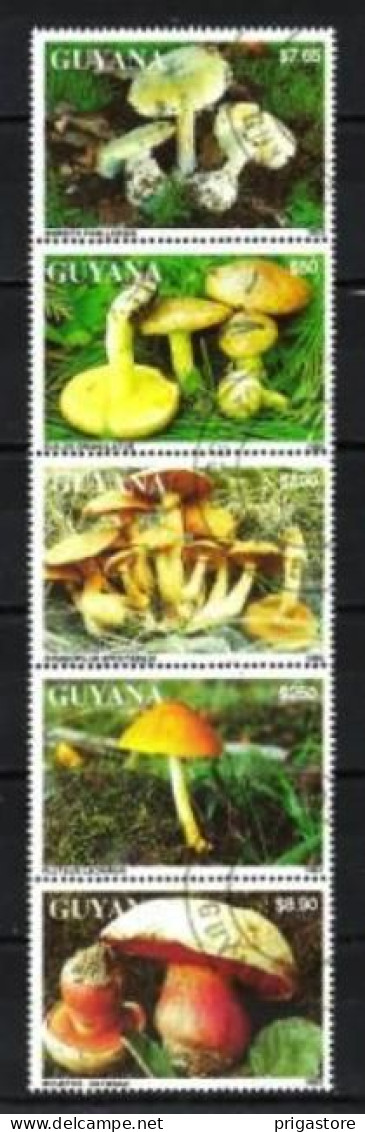 Champignons Guyana Guyane 1993 (28) Yvert N° Non Répertorié Oblitérés Used - Champignons